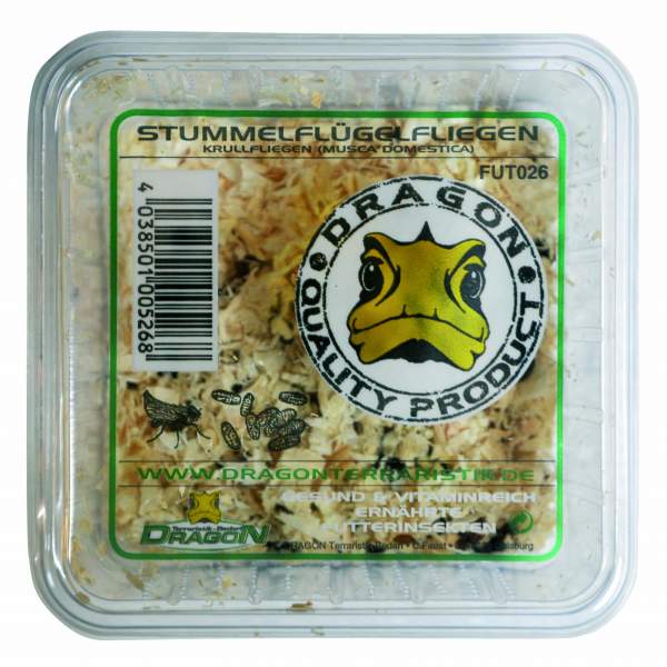 Krull Stummelfliegen